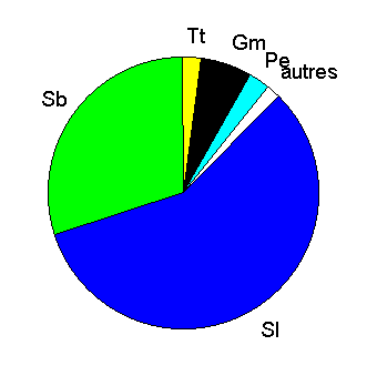 Sl dauphin à long bec - Tt grand dauphin - Pe dauphin d’Electre - Sb dauphin à bec étroit - Gm globicéphale tropical autres = 3 espèces (dauphin de Risso, dauphin de Fraser, orque pygmée) 