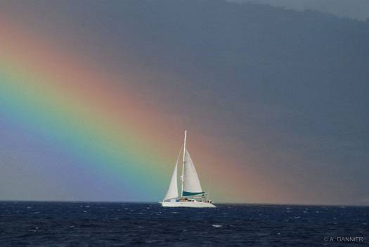 Un catamaran de 14m a été utilisé pendant 15 jours