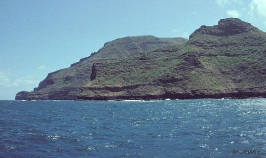 Les falaises accores d'Eiao biagnées d'eau verte