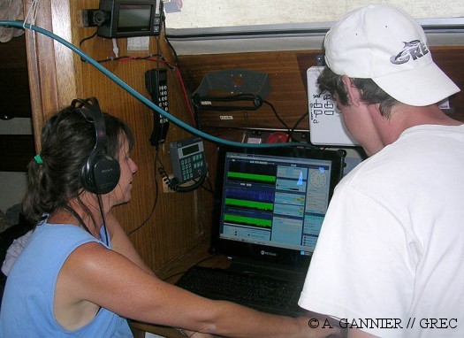 Ecoute à l'hydrophone