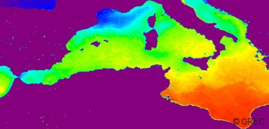 Méditerranée SST