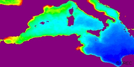 Méditerranée chlorophylle