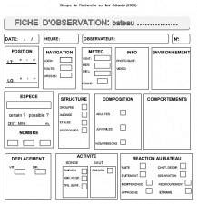 Fiche d'observation des cétacés Fiche d'observation des cétacés