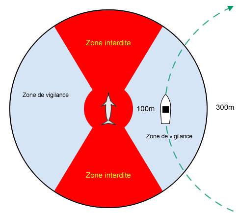 Distance et zone d'approche d'un cétacé