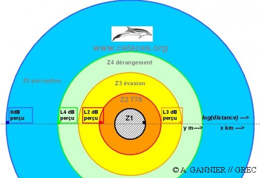 Zones d'impact des ondes sonores