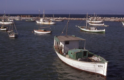 Le petit port de San Antonio, au sud-ouest de la Sardaigne