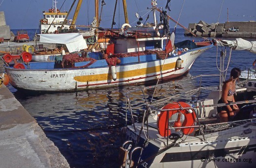 Notre voisin : un pêcheur d'espadon et de thons avec ses 10 km de filets dérivants