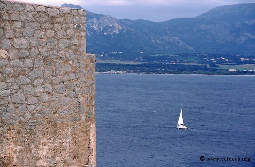 La baie de Calvi vue lors de notre escale du 17 avril