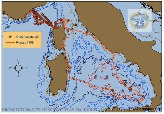Routes et observations en 1989 : comparer les mers Tyrrhénienne et Ligure