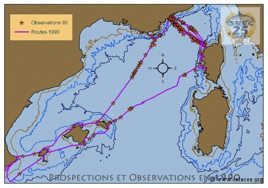 Observations et routes en 1990 : remarquer la concentration entre Minorque et Provence