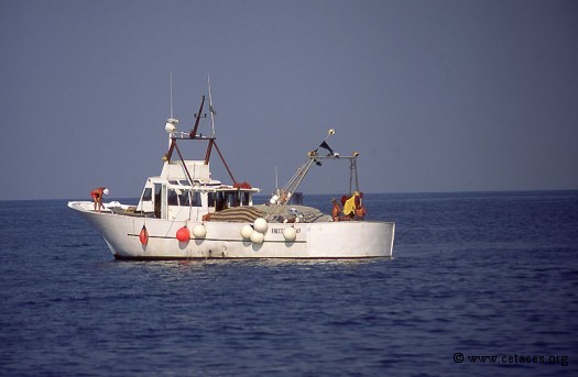 Bateau italien attendant de filer son engin dérivant