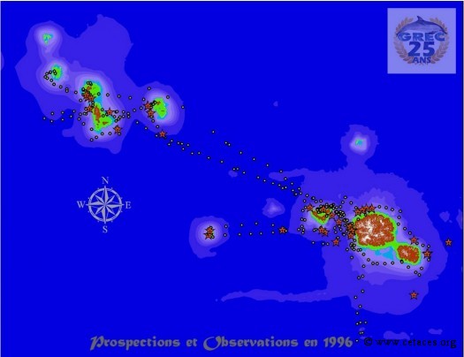 Nos prospections polynésiennes en 1996