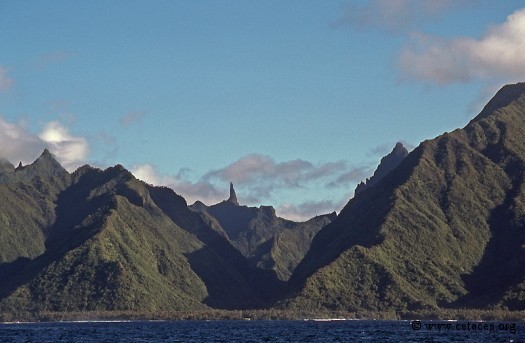 Tahiti côté presqu'île