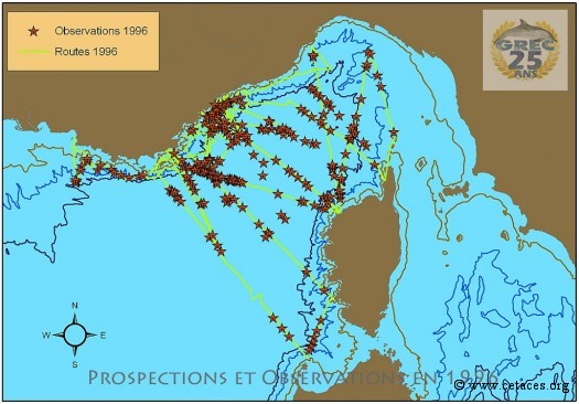 La prospection méditerranéenne en 1996