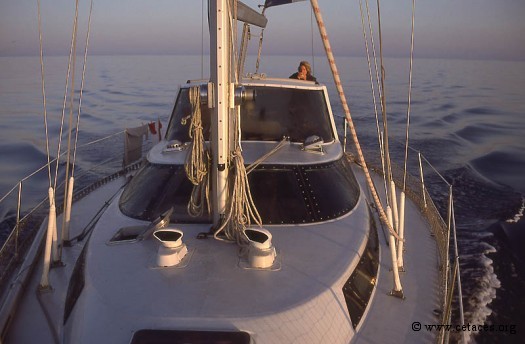 Plusieurs journées et nuits pour traverser la mer Ionienne ... au moteur