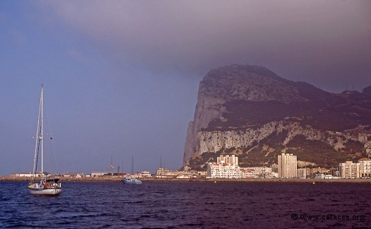 Le Rocher et la zone de mouillage de Gibraltar en juillet 99