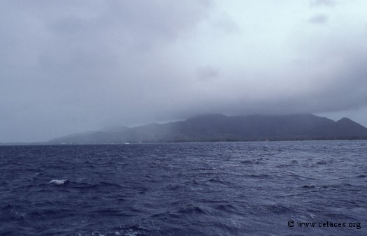 Nous trouvons l'île de Tubuai au bout de 2 jours et 2 nuits