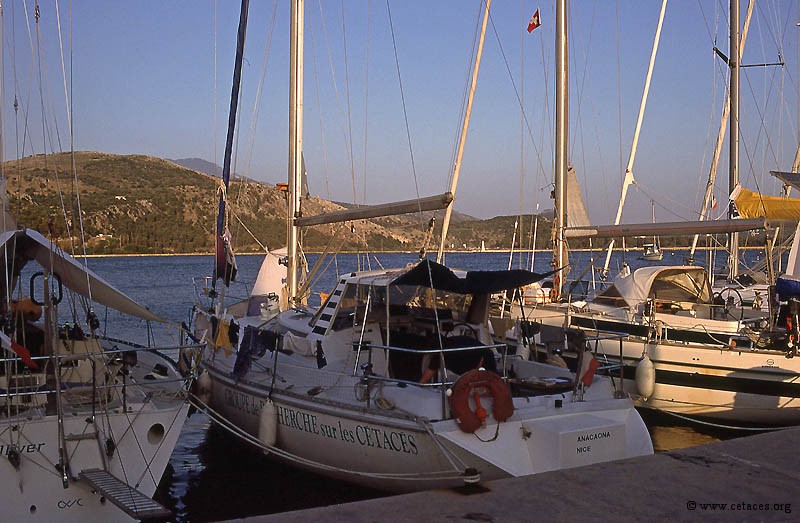 Repos et vins grecs dans le port d'Argostolion