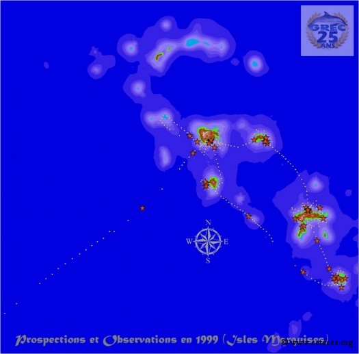 Prospections et observations en janvier 1999