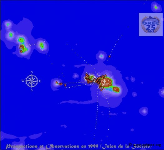 Prospections sur la Société en mars-avril et septembre-octobre 1999