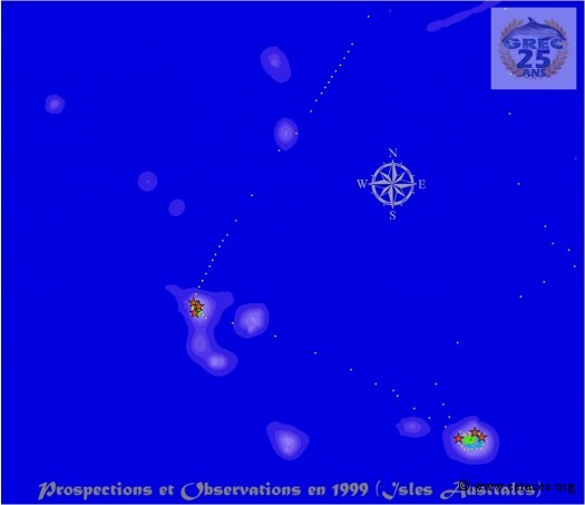 Prospection 'Mégaptères-Australes' en octobre 1999