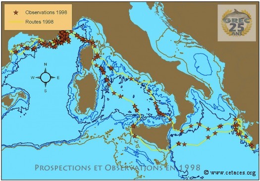 Prospections et observations en Méditerranée