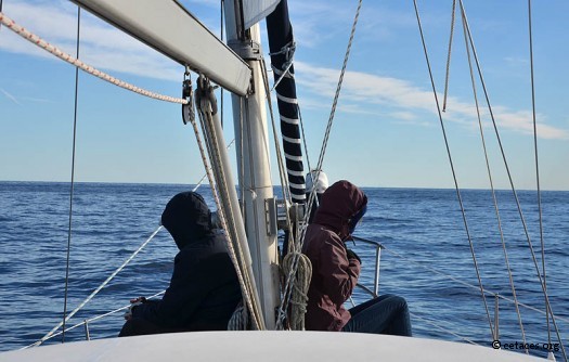 Concentration et espoir dans la fraîcheur du matin