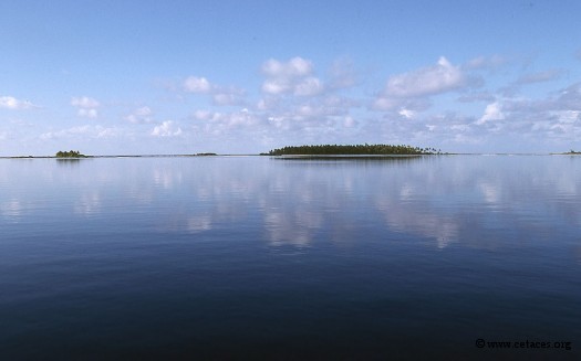 Le dicton du soir: méfie-toi de l'eau qui dort, surtout aux Tuamotu ...