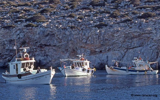 Mouillage de gros temps à l'abri de Syrna, en bonne compagnie