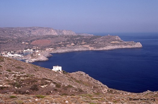 Peu de cétacés mais beaucoup de beaux paysages