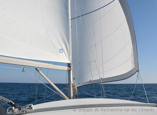 Prospection Biscaye : cap au Sud