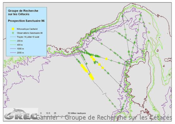 Lire la suite à propos de l’article Sanctuaire PELAGOS : la gestation