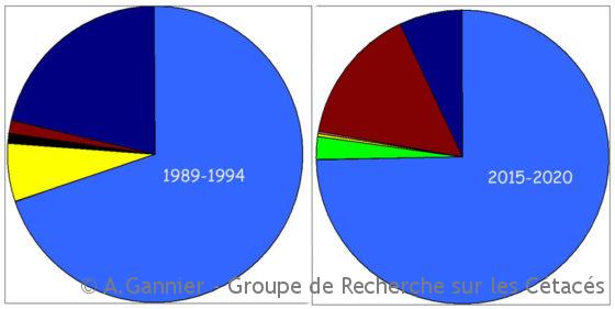 Lire la suite à propos de l’article Les évolutions du peuplement de cétacés azuréens