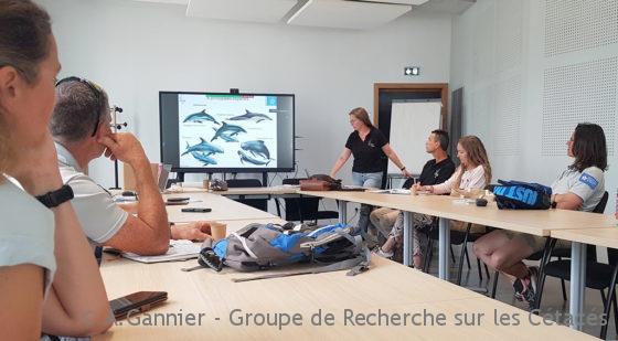 Lire la suite à propos de l’article Pelagos au contact des communes dans les Alpes-Maritimes