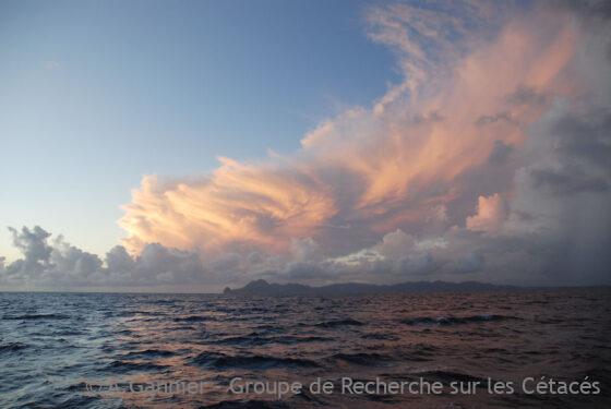 Lire la suite à propos de l’article Des nouvelles de la Martinique