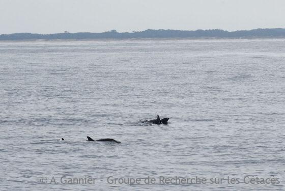 Lire la suite à propos de l’article Retour au port d’attache…