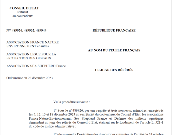 Lire la suite à propos de l’article Dauphins de Gascogne : l’Etat recadre sévèrement le gouvernement