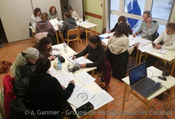 Lire la suite à propos de l’article Pollutions sonores et cétacés