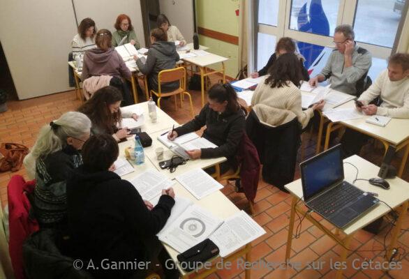 Pollutions sonores et cétacés