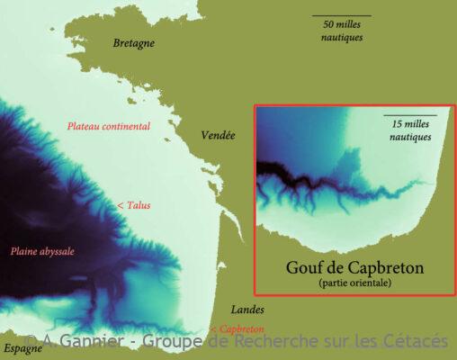 Zoom sur le Gouf