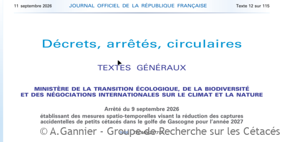 Lire la suite à propos de l’article Petits cétacés du golfe de Gascogne